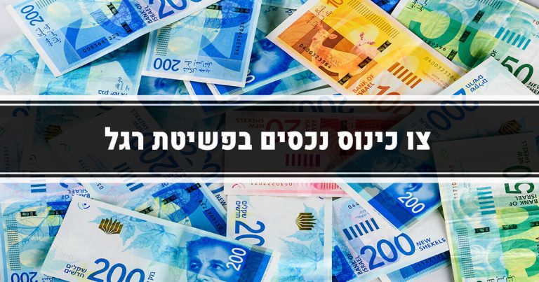 צו כינוס ופשיטת רגל